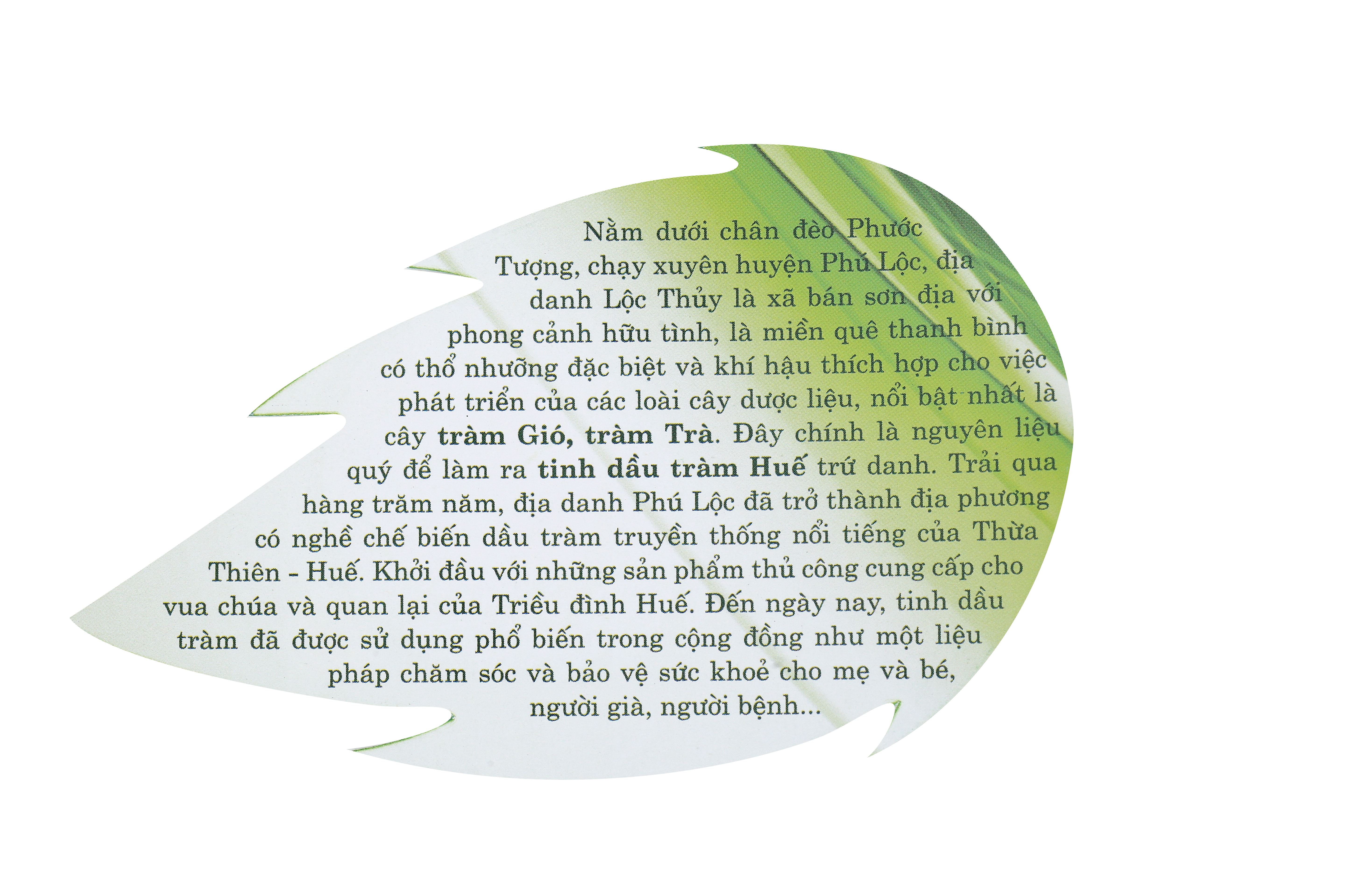 Tờ hướng dẫn sử dụng undefined
